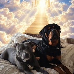 Max&amp;Nala