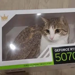 Gato Processing Unit