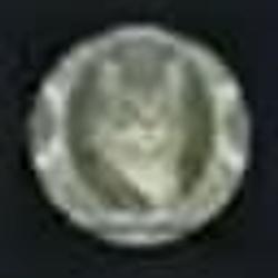 USDCAT