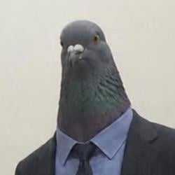 VINCE