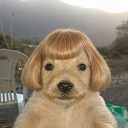 jeanchua