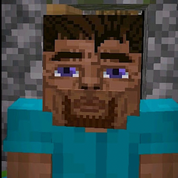 $STEVE