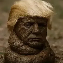 POTUS
