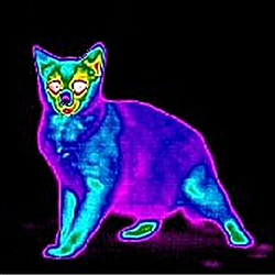 CATINK