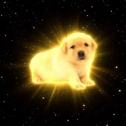 福星 / BNB