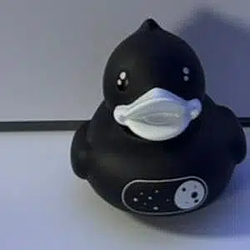 Ducky / SOL