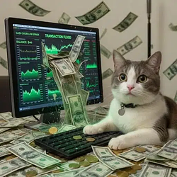 DDOS