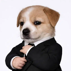 DOGENT