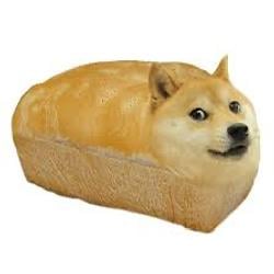 Dogge / SOL