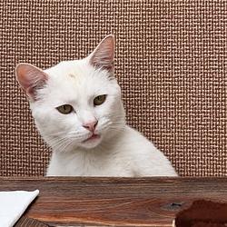 CATAMISU