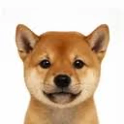 Inu