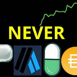 $NEVERPAID / SOL