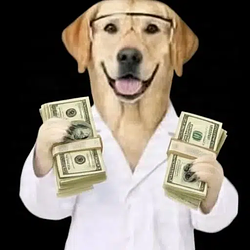 Lab