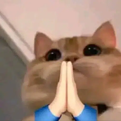 pls