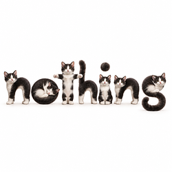 NOTHINGCAT
