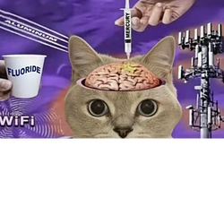 psyopcat / SOL