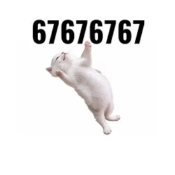 67cat