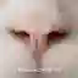 Tesla Cat / WETH