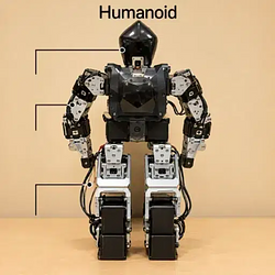 Humanoid