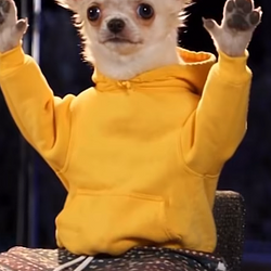 chewy