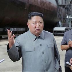 Kimmy / SOL