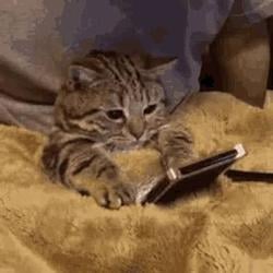 TEXTCAT