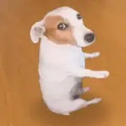 Luca