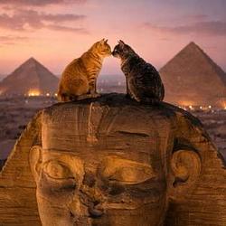 eygcat / BNB