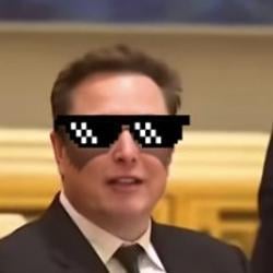 ElonBoss / SOL