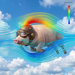 AIRPIG / SOL