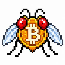 BITFLY
