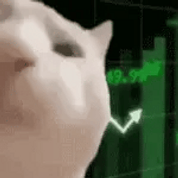 VIBINGCAT