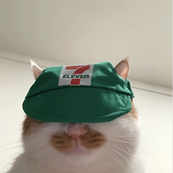 KITTY