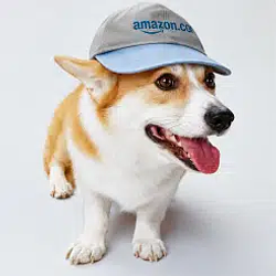 RUFUS