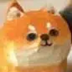 ᵈᵒᵍᵉ / SOL