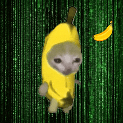 Banana Cat / SOL