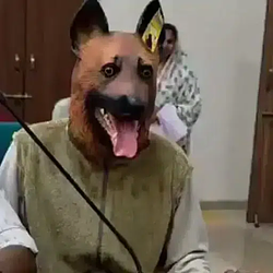 Doggy