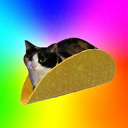 TACOCAT