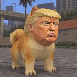 DT