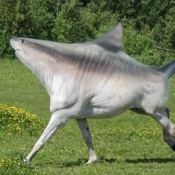 $SHORSE