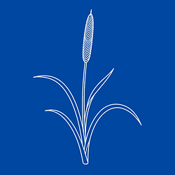 REED