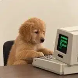 Tradedog
