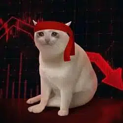CRASHCAT / SOL