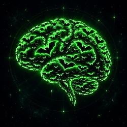 BATBRAIN