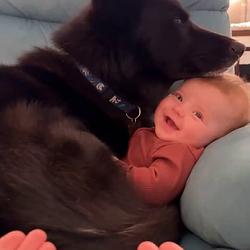GUARDDOG