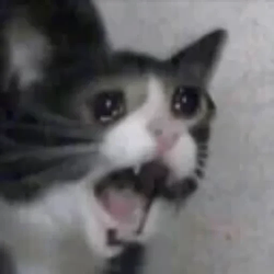 The Screaming Cat