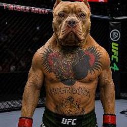 Dogor