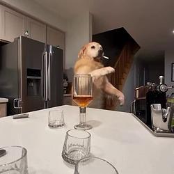 WEEKEND