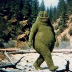 pepeHal