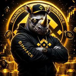 RHINOX / BNB